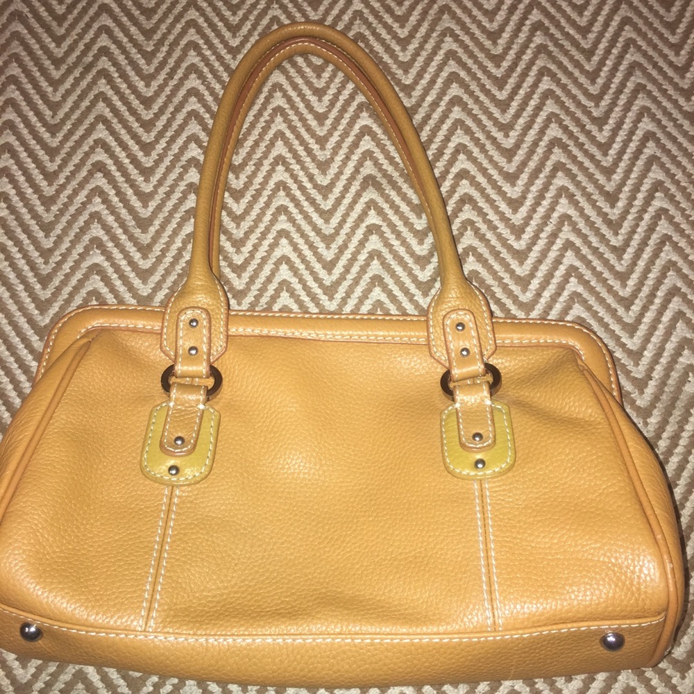 Tignanello Bag